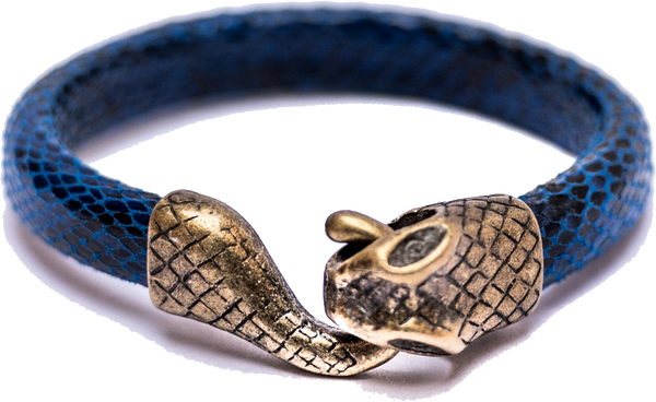 Indigo Blue Snake