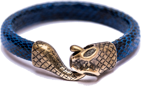 Indigo Blue Snake